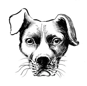 Sad looking dog Illustrazione stock