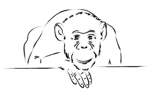 Sad monkey put her head on a paw Stock Illustration