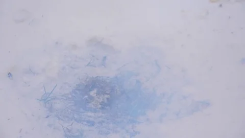 Sad orange fruit lie on snow and suddenly explode, leaving smoke and crater Vídeos de archivo 84567668
