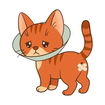 Sad orange tabby cat with cone collar after sterilization operation. Chibi cat Stock Illustration