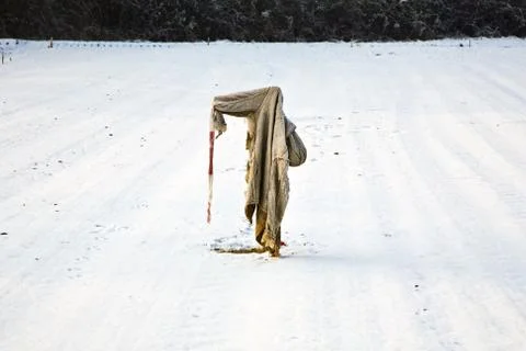 Sad, ragged  and freezing scarecrow in winter on the snowfield Stock Photos