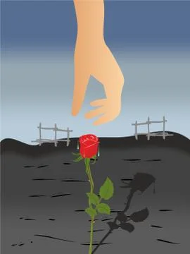 Sad rose Stock Illustration