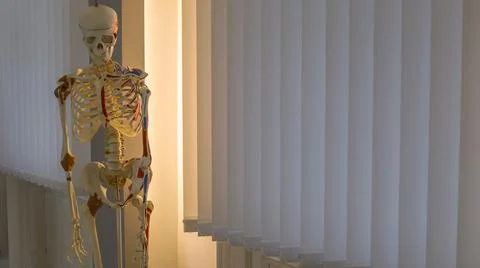 Sad skeleton alone in lights Stock Photos