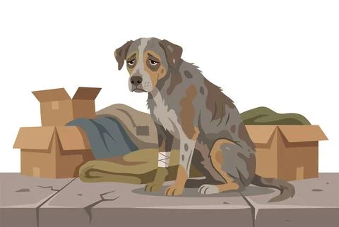 Sad stray dog sitting boxes, injured paw abandoned street, lonely homeless Иллюстрация
