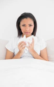 Sad young dark haired model holding tissues Stock Photos