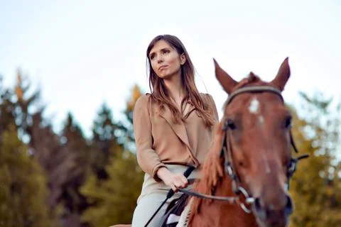 Saddle-bound excursion. Mounted exploration. Equestrianism, horseback ridin.. Stock Photos