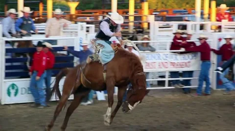 Saddle Bronc Rodeo Ride Stock Footage 7736859