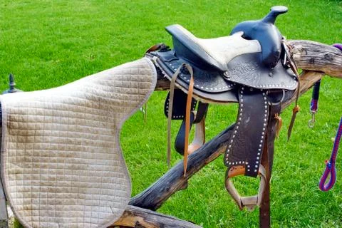 Saddle Stock Photos