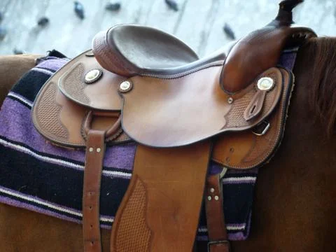 Saddle Stock Photos