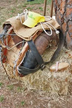 Saddle propped on a bale of hay next to a tree 写真素材