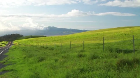 Saddle Road on a perfect day.   Video stock 50654589