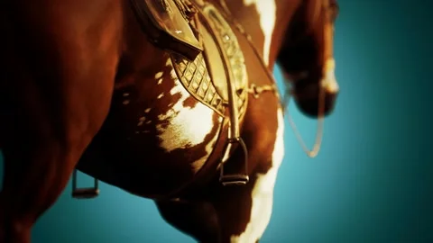 Saddle with stirrups on a back of a horse Vidéo 129235841