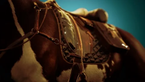 Saddle with stirrups on a back of a horse Stock Footage 133802782