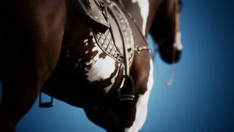 Saddle with stirrups on a back of a horse Stock Footage 135865150