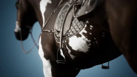 Saddle with stirrups on a back of a horse Stock Footage 140483324