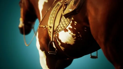 Saddle with stirrups on a back of a horse Stock Footage 142718205