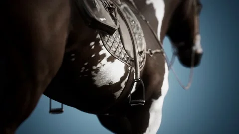Saddle with stirrups on a back of a horse Vídeo Stock 157358043