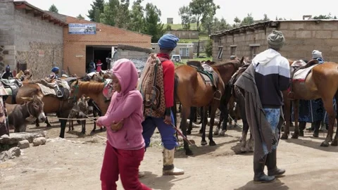 Saddled horses wait outside shops in African Semonkong in Lesotho Vidéo 237139891