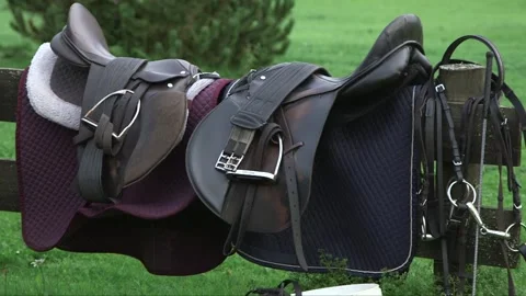 Saddles arranged on a stand Stock Footage 237782780