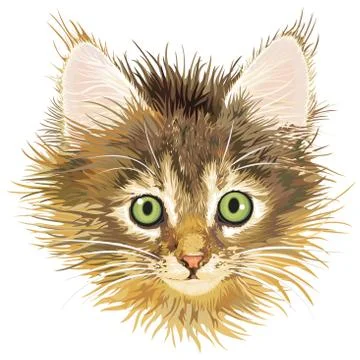 Sadness kitten, vector Stock Illustration