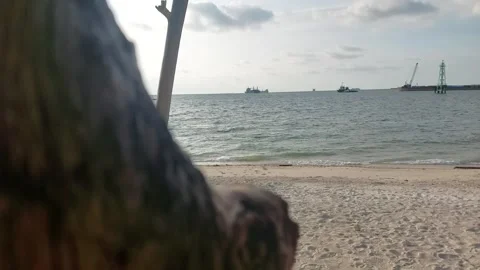 Sae  (1) Video stock 274206046