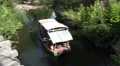 Safari boat brings visitors to natural animal preserve HD Footage