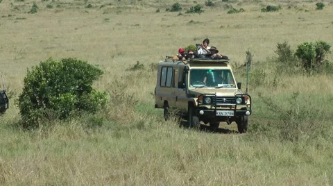 Safari Car Stock Footage 52600167