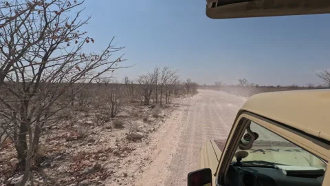 Safari drive through extremely dry arid landscape in Namibia by 4x4 vehicle Stock Footage 335690327