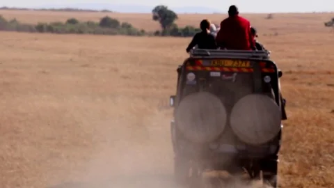 Safari Expedition Stock Footage 69871089