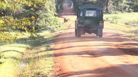 Safari Stock Footage 1180514