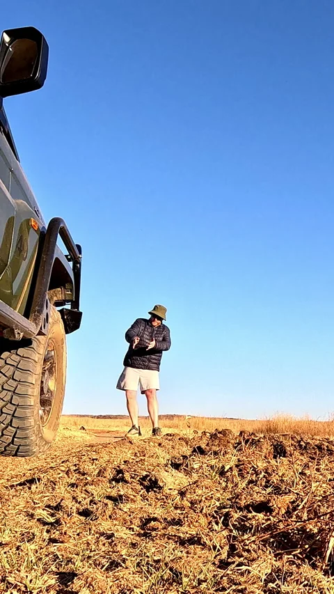 Safari guide explaining animal behaviour on game drive Stock Footage 327913530