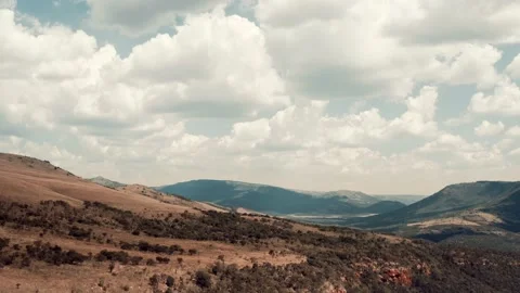 Safari Landscape 動画素材 237866312