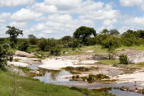 Safari landscape Stock Photos