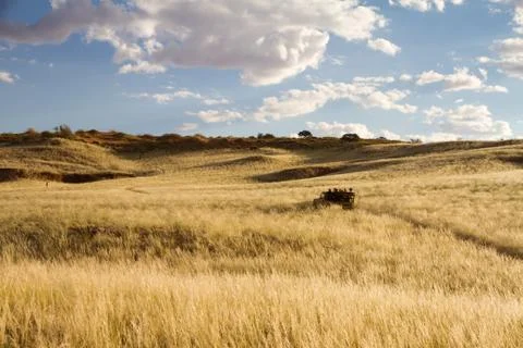 Safari in namibia 스톡 사진