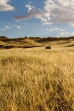 Safari in namibia Stock Photos