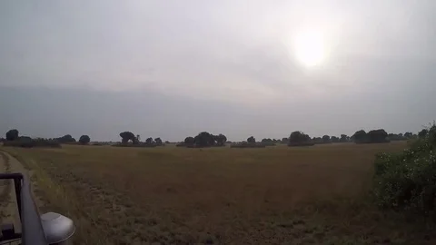 On safari, Queen Elizabeth National Park, Uganda Stock Footage