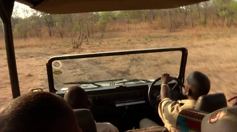 Safari Ride 스톡 동영상 47493002
