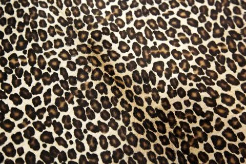 Safari style leopard hide pattern Safari style leopard hide pattern Copyri... Stock Photos