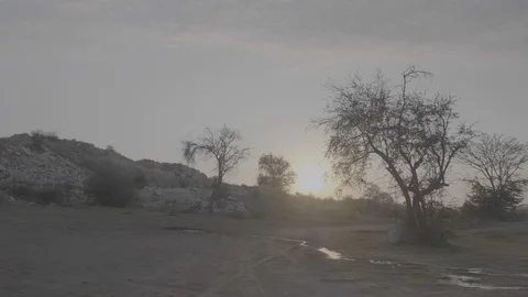 Safari Sunrise (Static) Stock Footage 116610180
