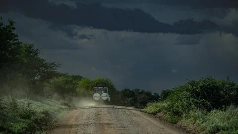 Safari in Tanzania Stock Photos
