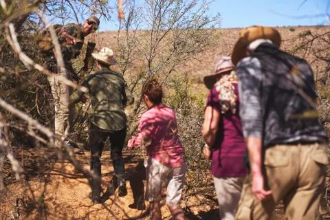 Safari tour group walking through trees Stock Photos