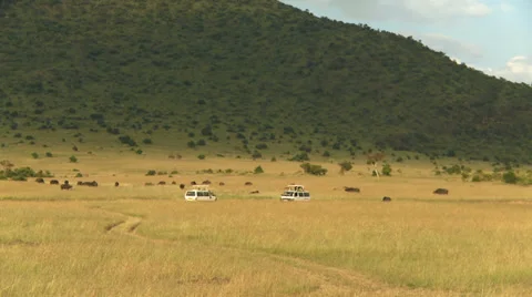 Safari vans landscape Stock Footage 33699341