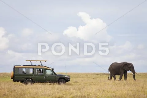 Safari Vehicle And African Bush Elephant, Masai Mara National Reserve, Kenya