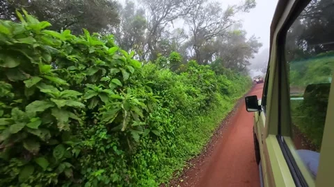 Safari Vehicle View Stock Footage 326175504