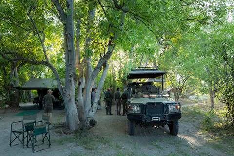 Safari vehicles and guides under the trees in a wildlife reserve camp. Stock Photos