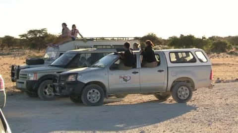 Safari vehicles Stock Footage 12165927