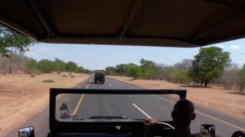 Safari Vehicles 스톡 동영상 47494772