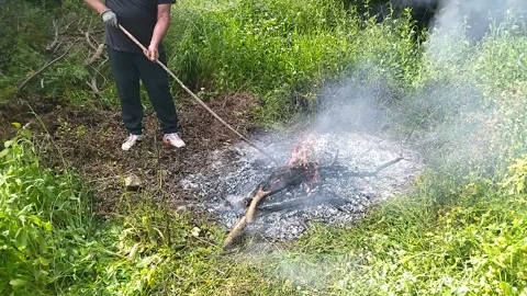 Safe fire in the forest Video stock 308076690