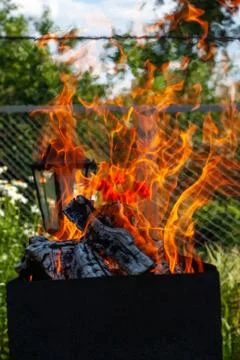 Safe fire in nature. Stock Photos