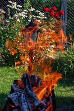 Safe fire in nature. Stock Photos